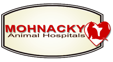 Mohnacky Animal Hospitals